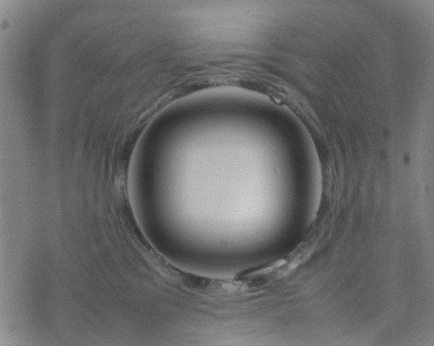 X0000074330329200609082038