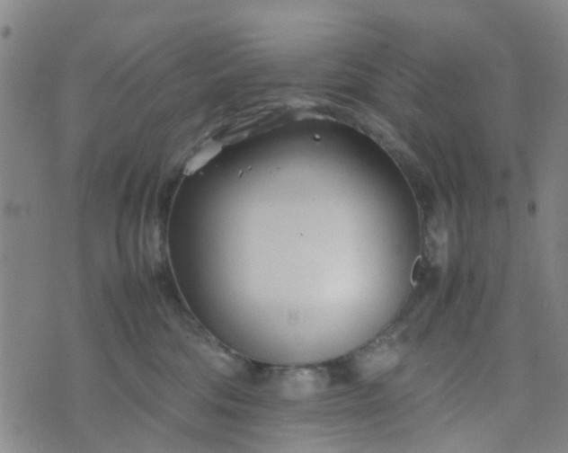 X0000074330330200609082038