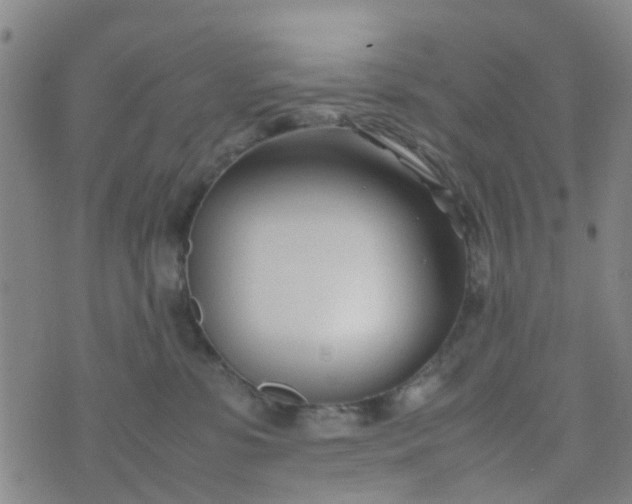 X0000074330331200609082038