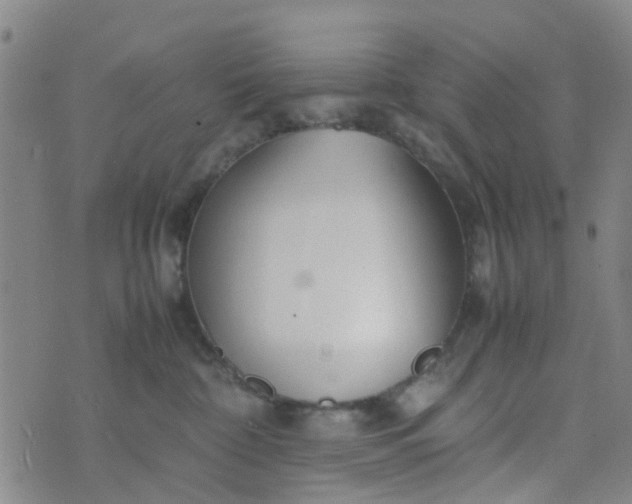 X0000074330332200609082038