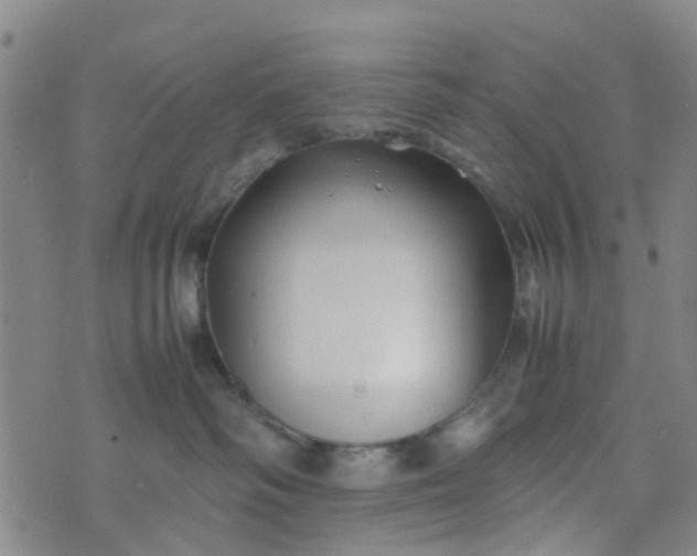 X0000074330334200609082038