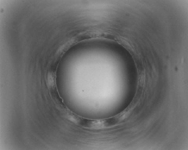 X0000074330335200609082038