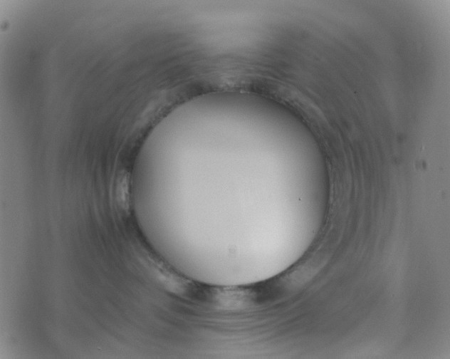 X0000074330336200609082038