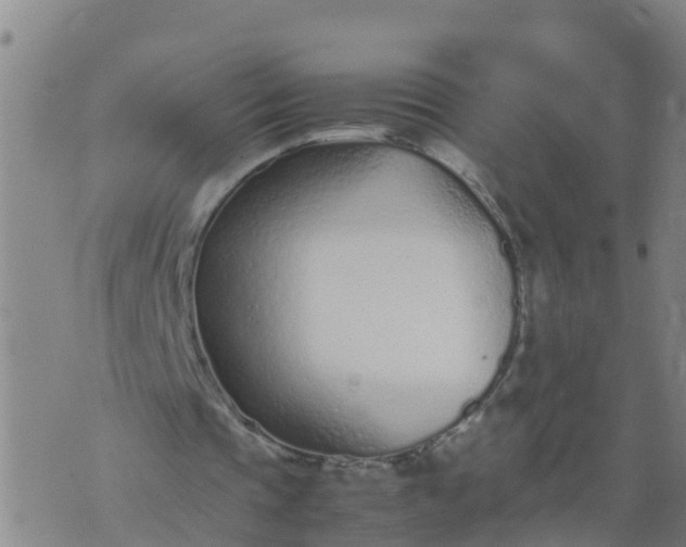 X0000074330337200609082037