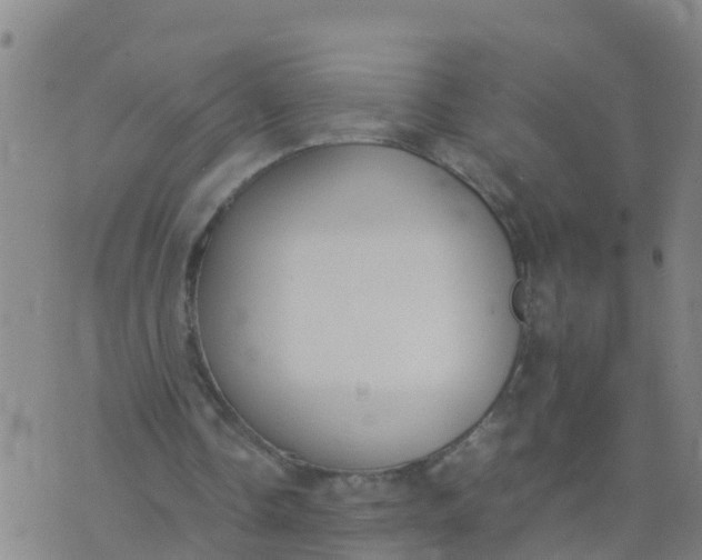 X0000074330338200609082037