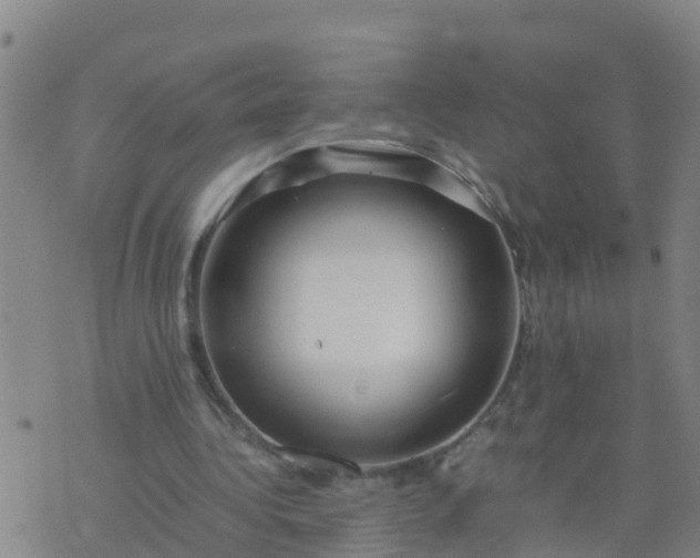 X0000074330340200609082037