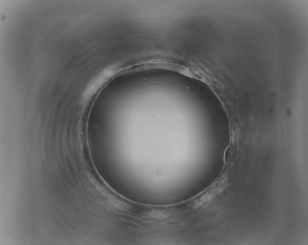 X0000074330341200609082037