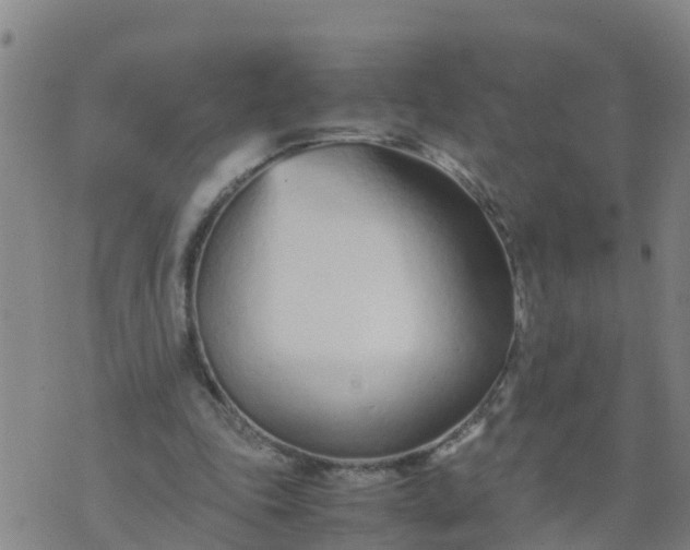 X0000074330343200609082038