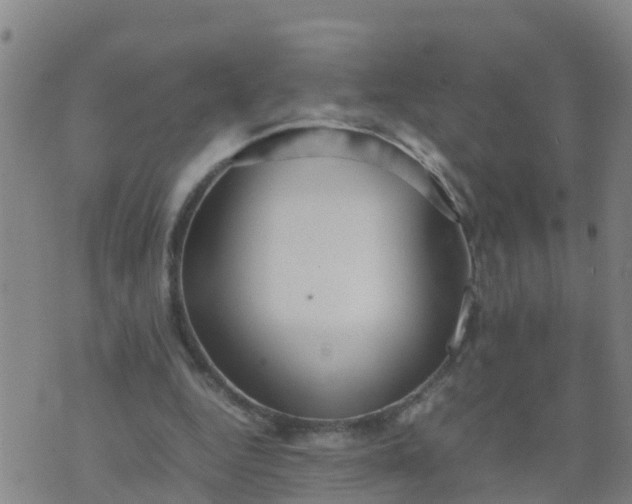 X0000074330344200609082038