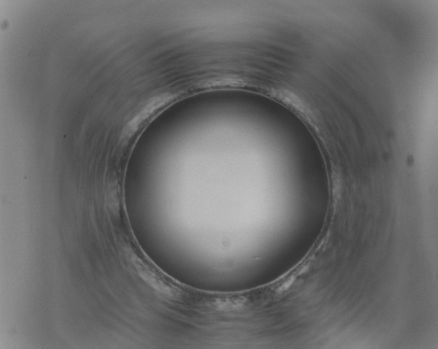 X0000074330345200609082038