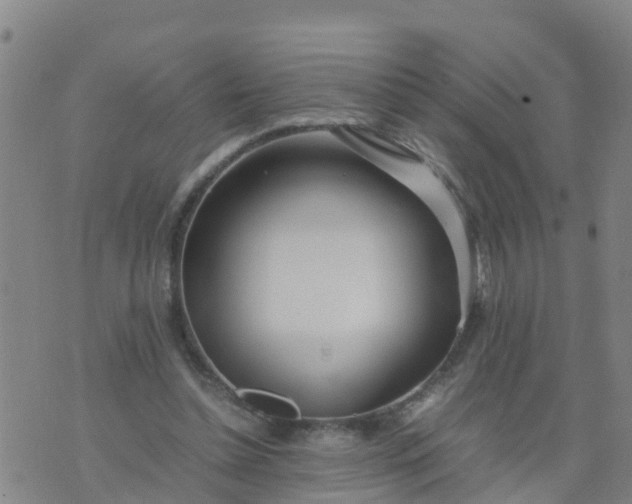 X0000074330348200609082038