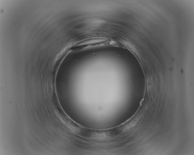 X0000074330349200609082038