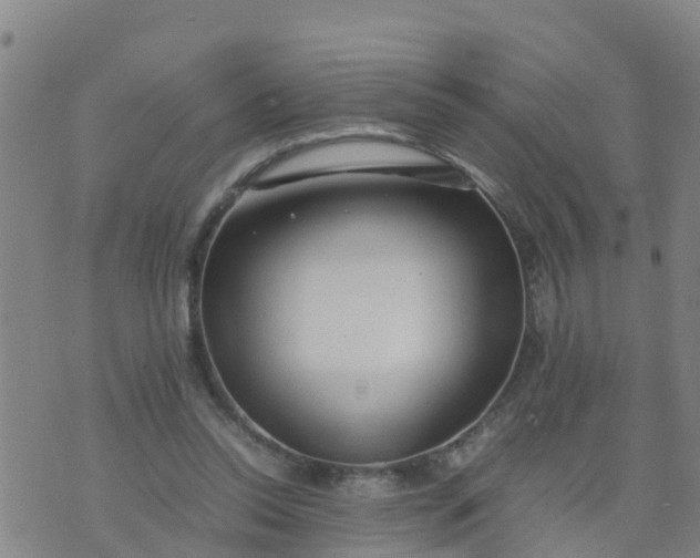 X0000074330350200609082038