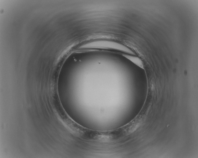 X0000074330352200609082038