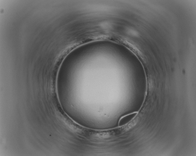 X0000074330353200609082038