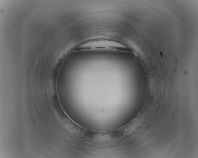 X0000074330354200609082038