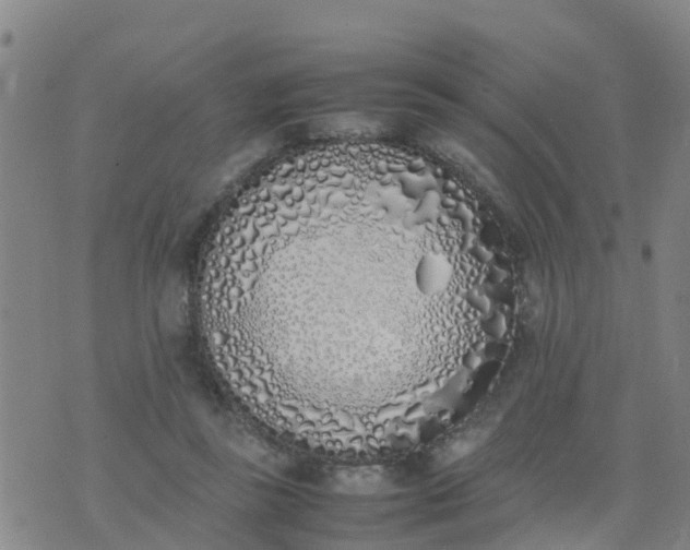 X0000074330355200609082038