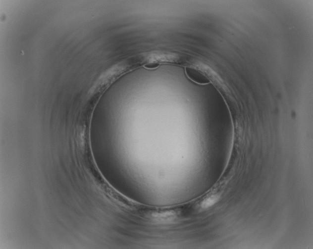 X0000074330357200609082038