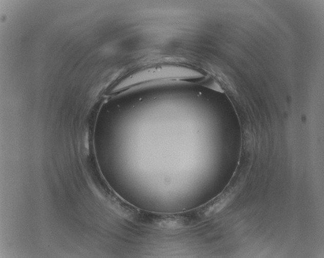 X0000074330358200609082038