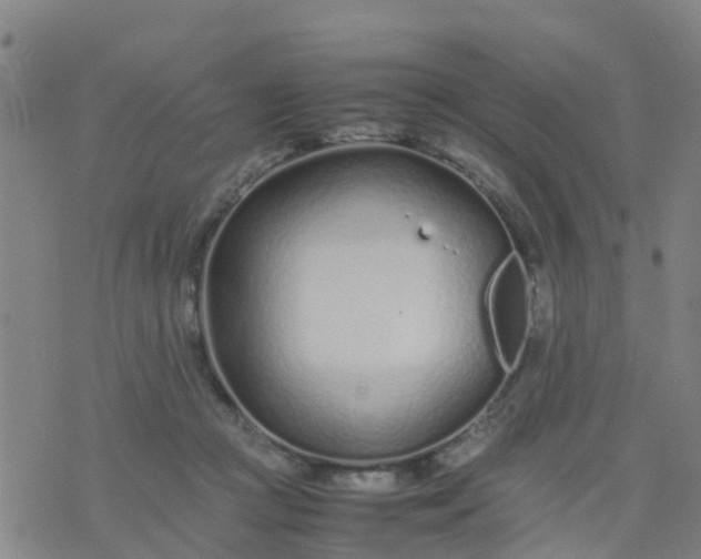 X0000074330361200609082038