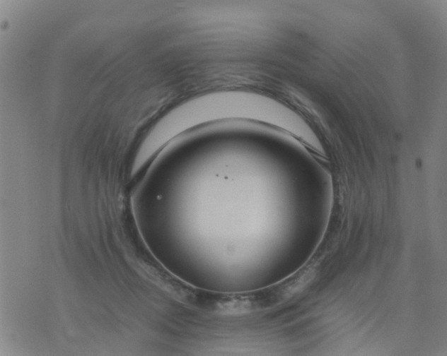 X0000074330362200609082038