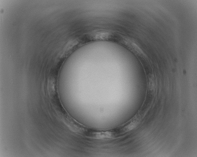 X0000074330363200609082038