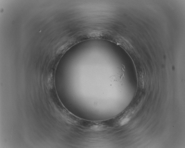 X0000074330364200609082038