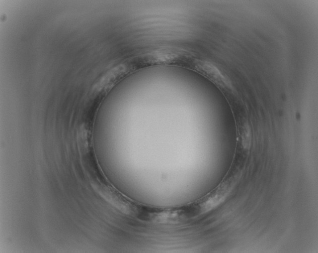 X0000074330366200609082038