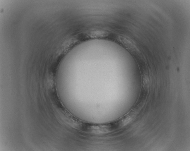 X0000074330367200609082038