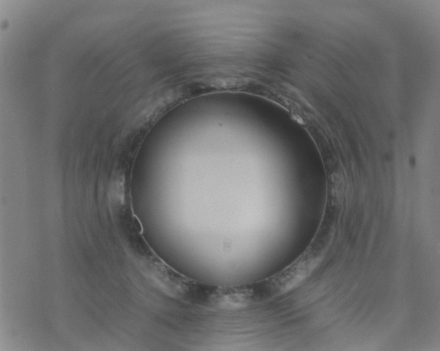 X0000074330368200609082038