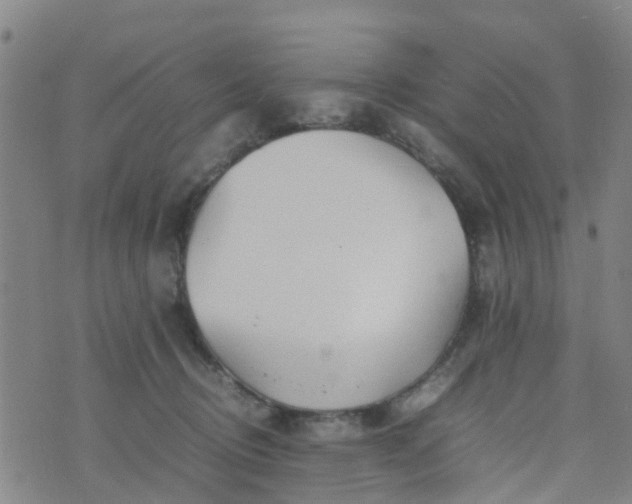 X0000074330370200609082038