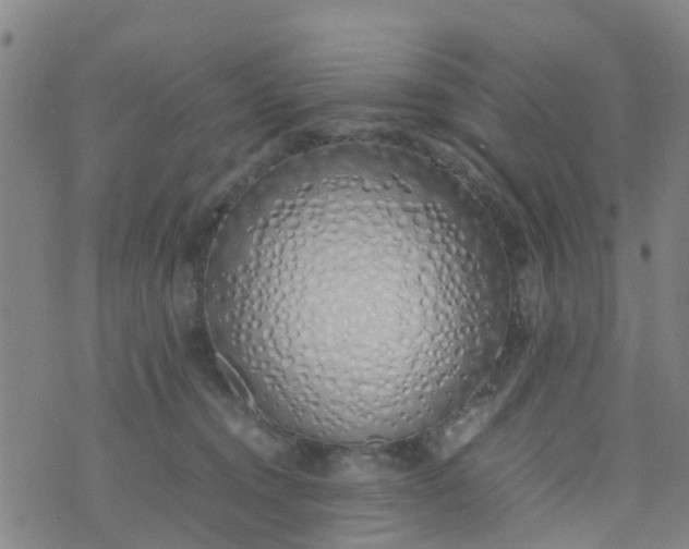 X0000074330372200609082038