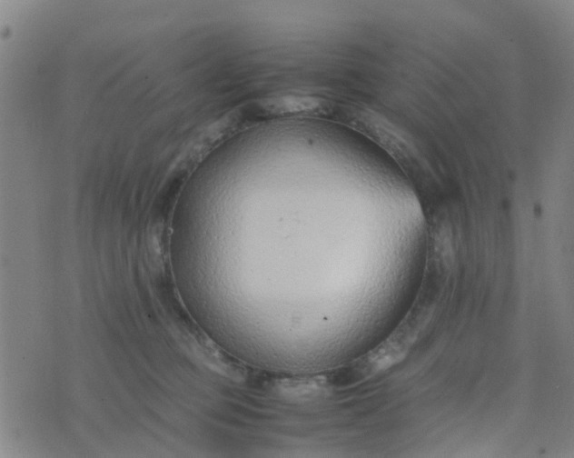 X0000074330373200609082038