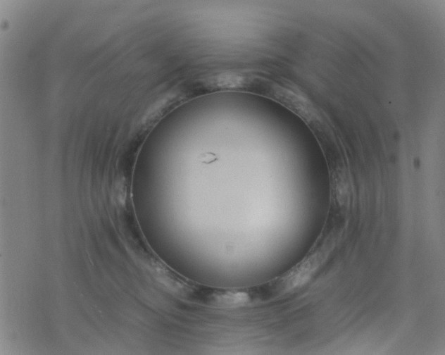 X0000074330374200609082038