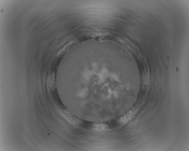 X0000074330376200609082038