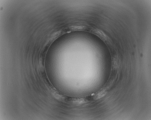 X0000074330377200609082038