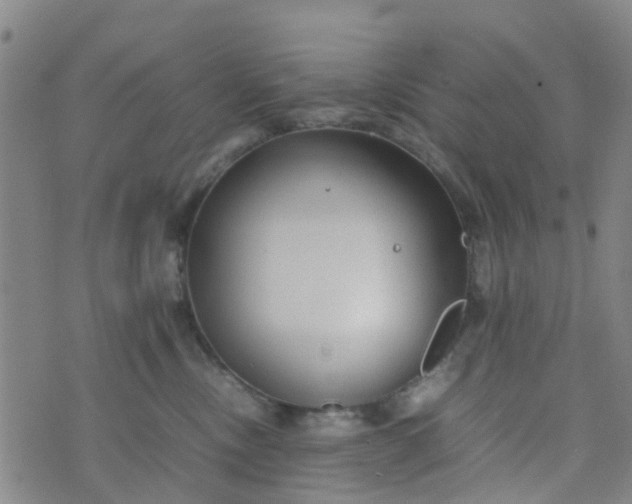 X0000074330378200609082038