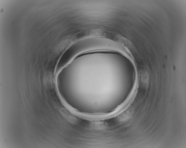 X0000074330380200609082038