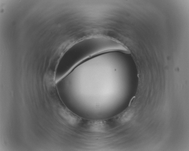 X0000074330384200609082038