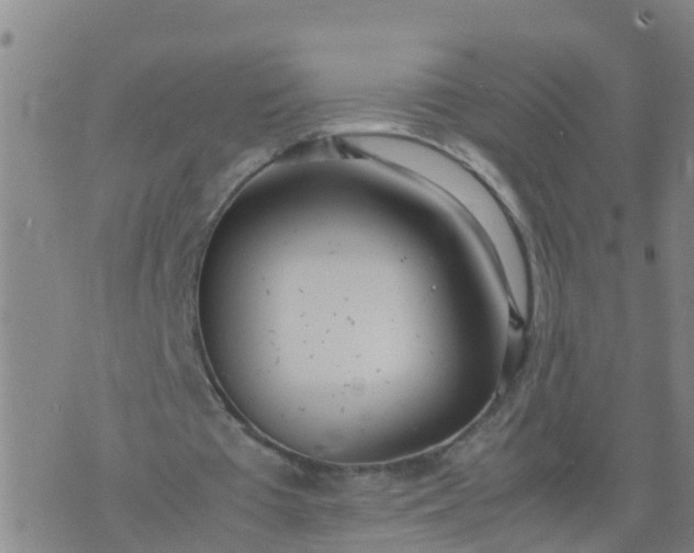 X0000074330385200609082037