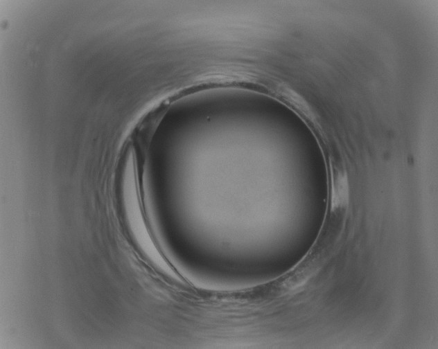 X0000074330387200609082037