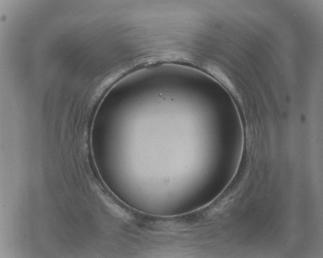 X0000074330389200609082037