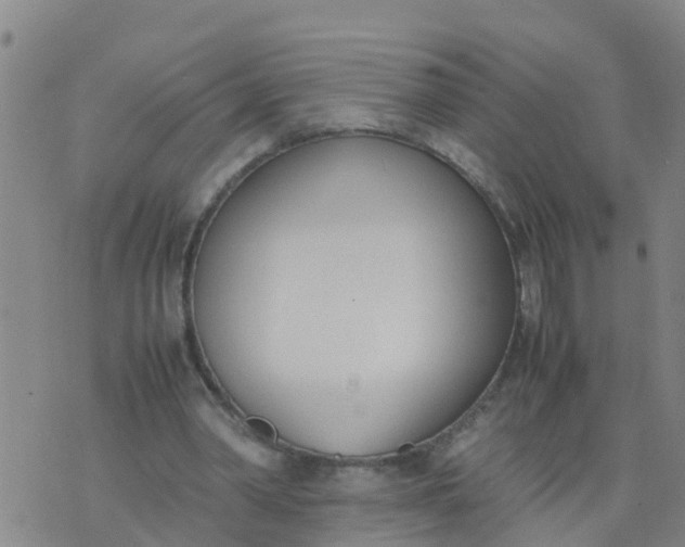 X0000074330390200609082037