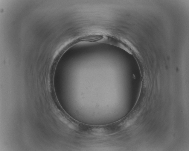 X0000074330391200609082037