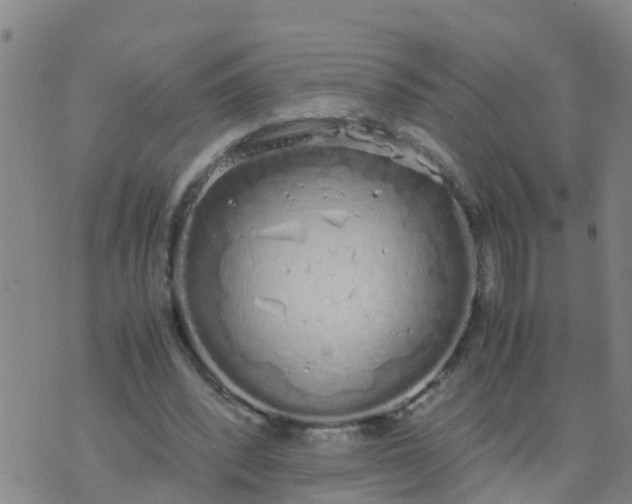 X0000074330392200609082037