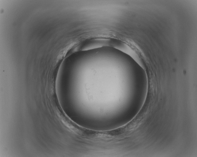 X0000074330393200609082037