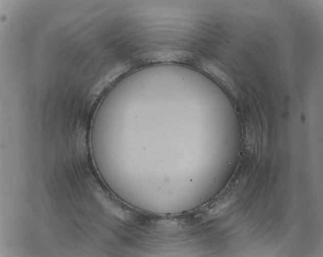 X0000074330394200609082037