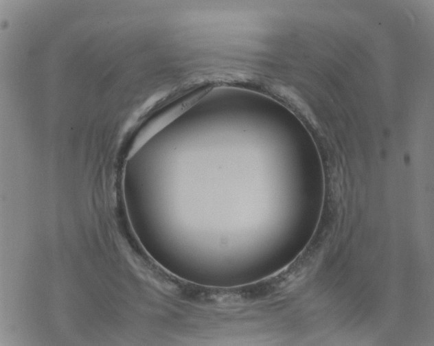 X0000074330395200609082037