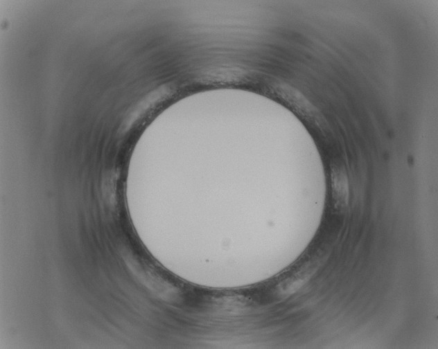 X0000074330396200609082037