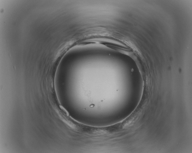 X0000074330397200609082037